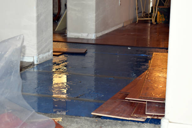 Professional Burst Pipe Cleanup technician working in Wellman, TX
